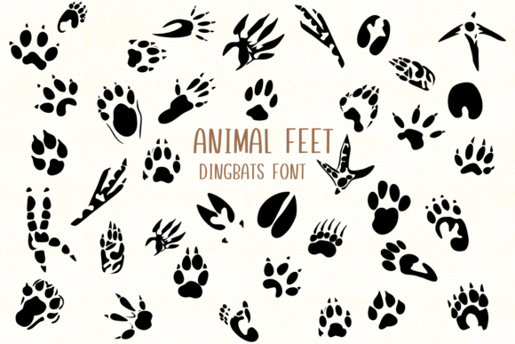 Animal Feet Font: A Playful Typeface for Editorial Design