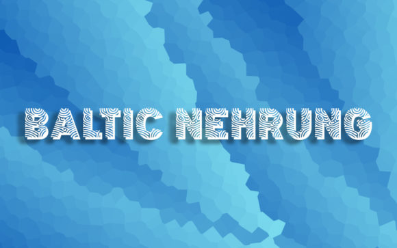 Baltic Nehrung: A Font for Editorial Elegance